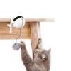 Automatic Cat Teasing Toy, Electric Lifting Toy, Interactive Rotating Ball