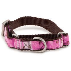 PetSafe Fido Finery Martingale Style Collar (1/2 Petite, Marvel)