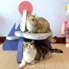 ScratchMe Cat Scratcher Post Board; Mount Fuji Shape Cat Scratching Lounge Bed; Durable Pad Prevents Furniture Damage