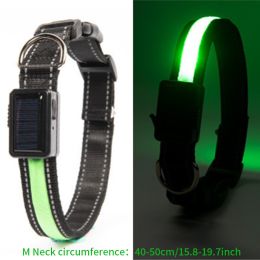 Solar And USB Rechargeable Light Up Pet Collar Waterproof LED Dog & Cat Collars For Night Walking (Color: Fluorescent Green)